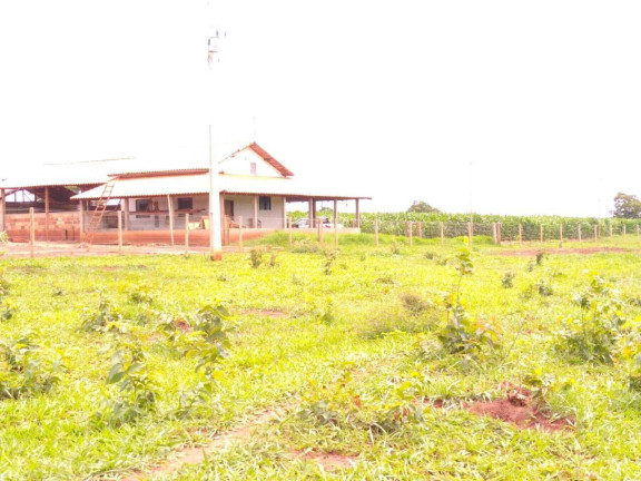 Imagem Fazenda à Venda, 23 m² em Centro - Santa Vitória Imagem Fazenda à Venda, 23 m² em Centro - Santa Vitória