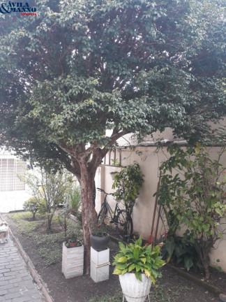 Imagem Casa com 3 Quartos à Venda,  em Vila Prudente - São Paulo