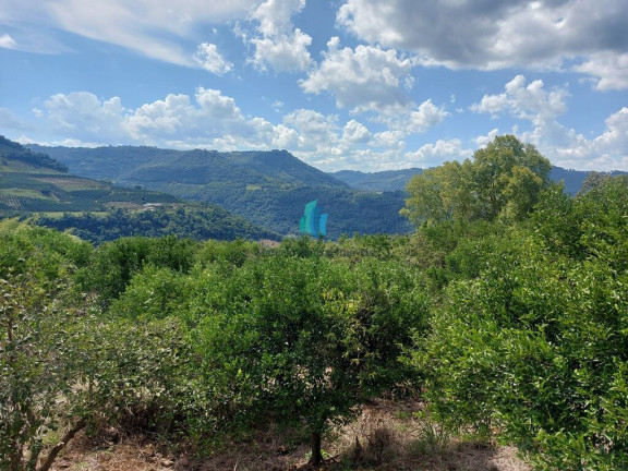 Imagem Terreno à Venda, 109.312 m² em Linha Tiradentes - Veranópolis