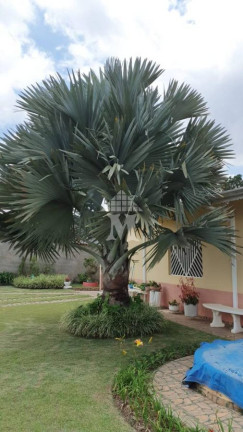 Imagem Casa com 2 Quartos à Venda, 211 m² em Maracanã - Jarinu Imagem Casa com 2 Quartos à Venda, 211 m² em Maracanã - Jarinu
