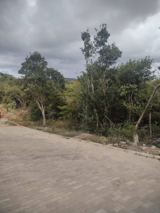 Imagem Terreno à Venda, 1.500 m² em Imediações Do Anel Viário De Pipa - Tibau Do Sul Imagem Terreno à Venda, 1.500 m² em Imediações Do Anel Viário De Pipa - Tibau Do Sul