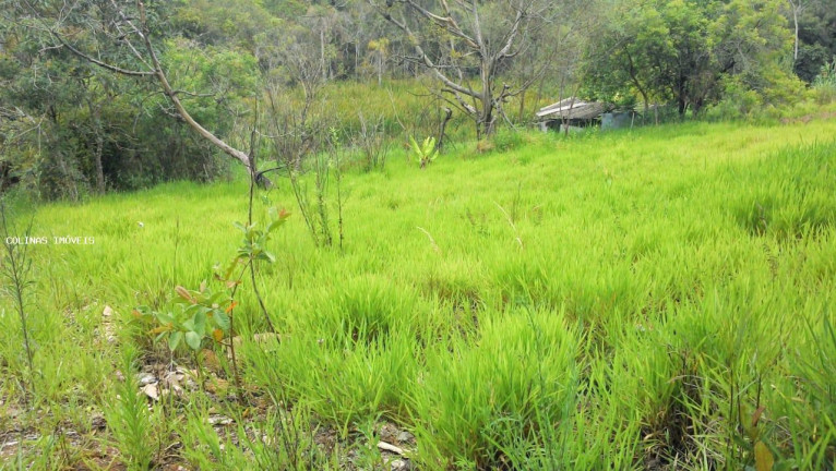 Imagem Terreno à Venda,  em Antes Do Centro - Ibiúna