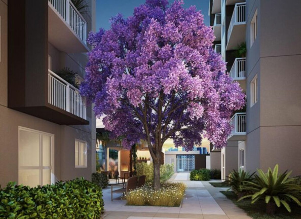Imagem Apartamento com 2 Quartos à Venda, 40 m² em Cursino - São Paulo Imagem Apartamento com 2 Quartos à Venda, 40 m² em Cursino - São Paulo