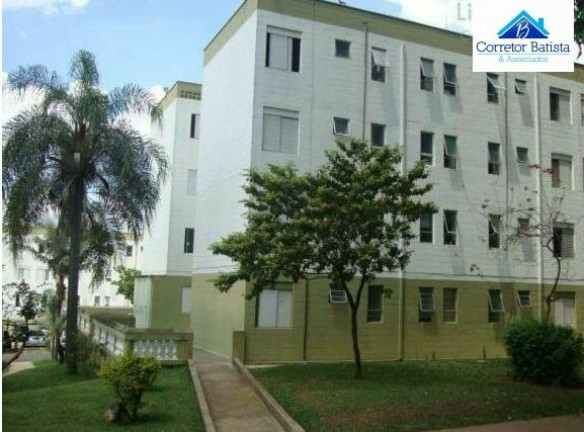 Imagem Apartamento com 3 Quartos à Venda, 55 m² em Vila Padre Manoel De Nóbrega - Campinas Imagem Apartamento com 3 Quartos à Venda, 55 m² em Vila Padre Manoel De Nóbrega - Campinas