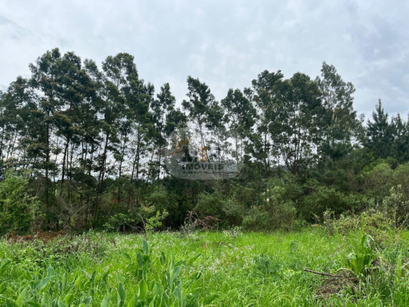 Imagem Imóvel com 2 Quartos à Venda, 70 m² em Linha Brasil - Nova Petrópolis