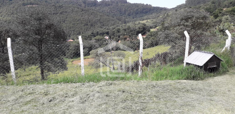Imagem Imóvel com 3 Quartos à Venda, 20.000 m² em Serra Do Selado (rural) - Poços De Caldas