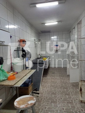 Imagem Casa com 5 Quartos à Venda, 150 m² em Santana - São Paulo