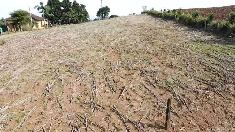 Imagem Terreno à Venda, 2 m² em Linha Santa Cruz - Santa Cruz Do Sul Imagem Terreno à Venda, 2 m² em Linha Santa Cruz - Santa Cruz Do Sul