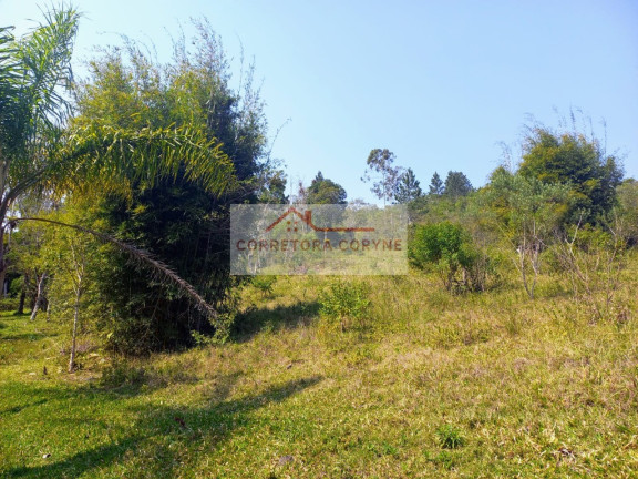 Imagem Terreno à Venda, 24.000 m² em Palmeiras - Juquitiba Imagem Terreno à Venda, 24.000 m² em Palmeiras - Juquitiba