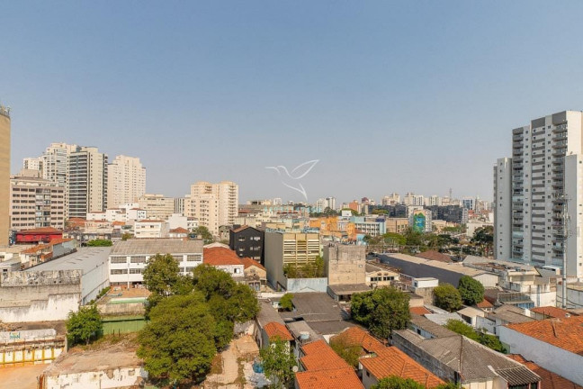 Imagem Apartamento com 3 Quartos à Venda, 138 m² em Vila Mariana - São Paulo Imagem Apartamento com 3 Quartos à Venda, 138 m² em Vila Mariana - São Paulo