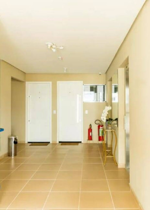 Imagem Apartamento com 3 Quartos à Venda, 64 m² em Vila Graciosa - São Paulo