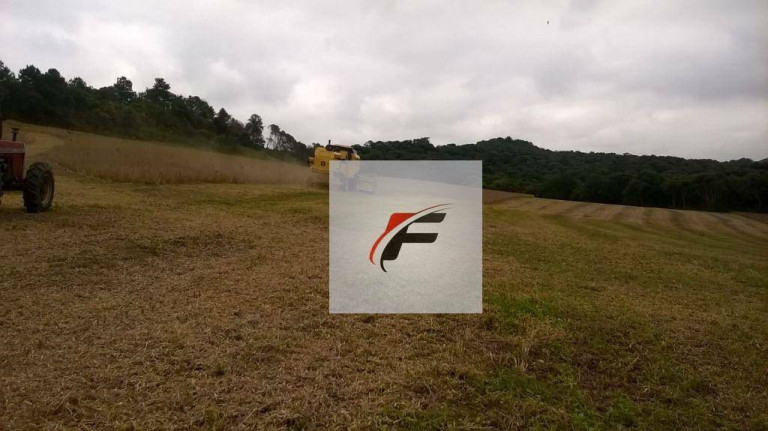 Chácara com 3 Quartos à Venda, 242.000 m² em Centro - Lapa
