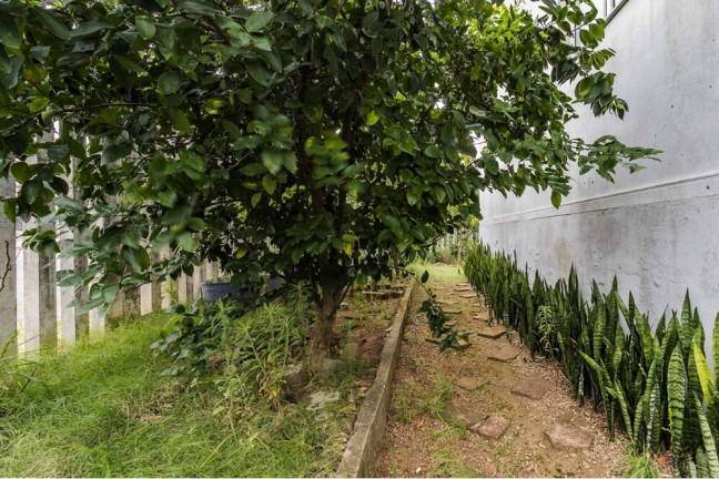 Imagem Casa de Condomínio com 3 Quartos à Venda, 213 m² em Mário Quintana - Porto Alegre
