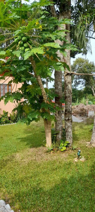 Imagem Casa com 2 Quartos à Venda, 312 m² em Cachoeira Do Bom Jesus - Florianópolis