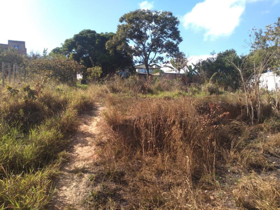 Imagem Terreno à Venda, 402 m² em Vale Das Acácias - Ribeirão Das Neves Imagem Terreno à Venda, 402 m² em Vale Das Acácias - Ribeirão Das Neves