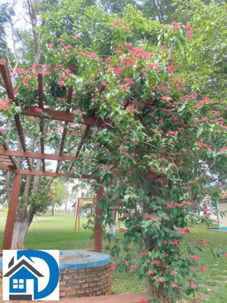 Imagem Chácara com 3 Quartos à Venda, 103 m² em Jutuba - Capela Do Alto