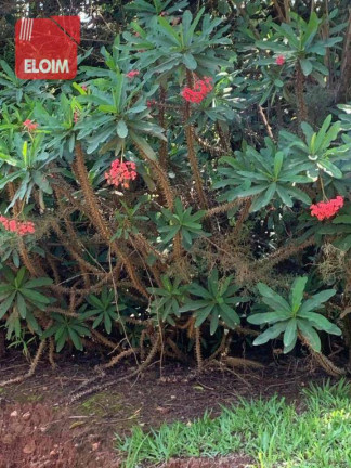 Imagem Chácara com 3 Quartos à Venda, 554 m² em Rancho Caiocara - Atibaia