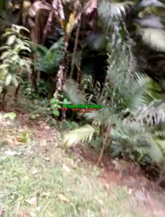 Imagem Chácara à Venda, 2.000 m² em Sob. Consulta - São José Dos Campos Imagem Chácara à Venda, 2.000 m² em Sob. Consulta - São José Dos Campos