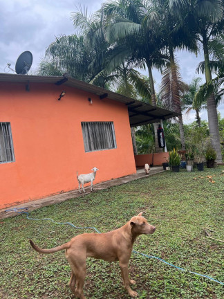 Imagem Chácara com 3 Quartos à Venda, 348.600 m² em Centro - Juquiá Imagem Chácara com 3 Quartos à Venda, 348.600 m² em Centro - Juquiá
