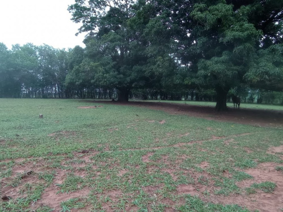 Imagem Imóvel à Venda, 144 m² em área Rural De Bauru - Bauru Imagem Imóvel à Venda, 144 m² em área Rural De Bauru - Bauru