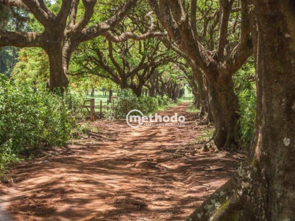 Imagem Terreno à Venda, 903 m² em Residencial Haras Patente - Jaguariúna Imagem Terreno à Venda, 903 m² em Residencial Haras Patente - Jaguariúna