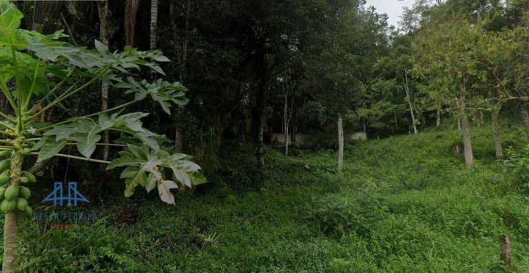 Imagem Terreno à Venda, 920 m² em Córrego Grande - Florianópolis Imagem Terreno à Venda, 920 m² em Córrego Grande - Florianópolis