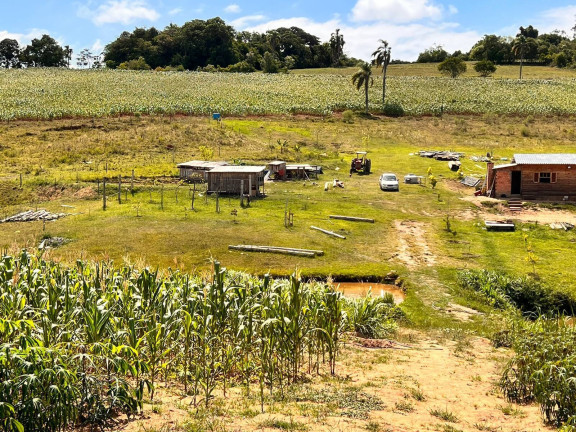 Imagem Chácara com 2 Quartos à Venda, 6 m² em Morungava - Gravataí