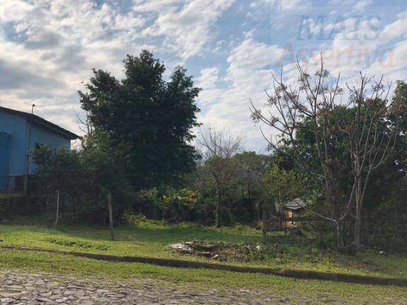 Terreno à Venda,  em Arroio Da Manteiga - São Leopoldo