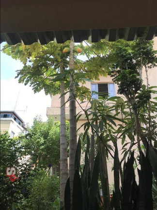Imagem Casa com 10 Quartos à Venda, 250 m² em Vila Clarice - São Paulo Imagem Casa com 10 Quartos à Venda, 250 m² em Vila Clarice - São Paulo