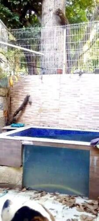 Imagem Casa com 5 Quartos à Venda, 220 m² em Laranjeiras - Rio De Janeiro Imagem Casa com 5 Quartos à Venda, 220 m² em Laranjeiras - Rio De Janeiro
