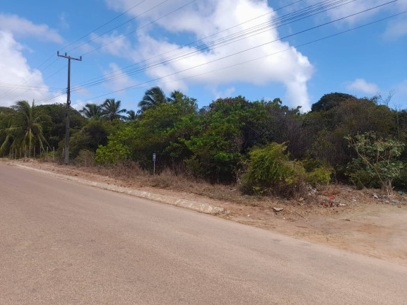 Imagem Terreno à Venda, 1.000 m² em Praia De Sibaúma - Tibau Do Sul Imagem Terreno à Venda, 1.000 m² em Praia De Sibaúma - Tibau Do Sul