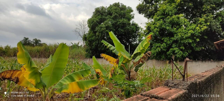 Imagem Terreno à Venda, 1.000 m² em Bosque Dos Eucaliptos - Araçoiaba Da Serra Imagem Terreno à Venda, 1.000 m² em Bosque Dos Eucaliptos - Araçoiaba Da Serra