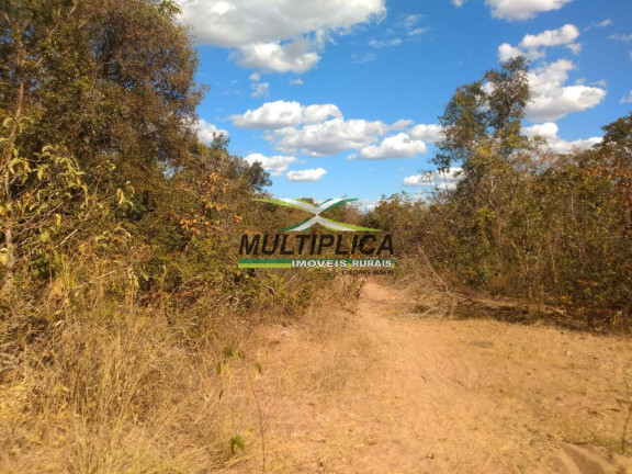 Imagem Fazenda à Venda, 102 m² em Centro - Santa Fé De Minas Imagem Fazenda à Venda, 102 m² em Centro - Santa Fé De Minas
