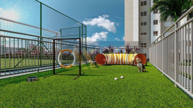 Imagem Apartamento com 2 Quartos à Venda, 46 m² em Chácara Contagem - Contagem