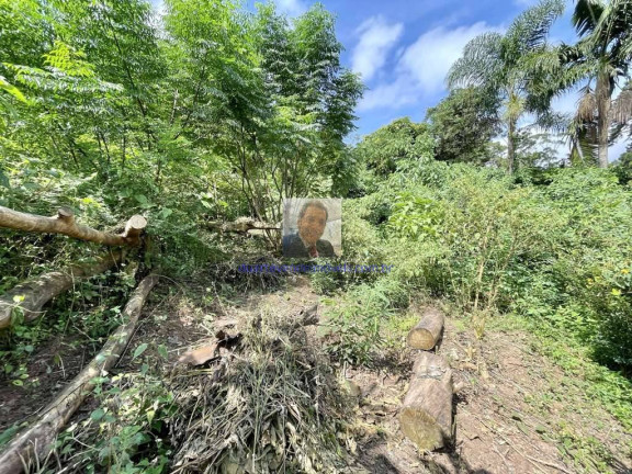 Imagem Terreno à Venda, 907 m² em Vila Santo Antônio - Cotia Imagem Terreno à Venda, 907 m² em Vila Santo Antônio - Cotia