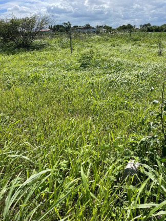 Imagem Terreno à Venda, 240 m² em área Rural De Arapiraca - Arapiraca