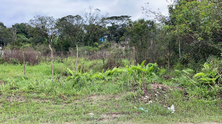 Terreno à Venda, 300 m² em Area Não Loteada - Itanhaém