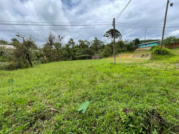 Terreno à Venda, 893 m² em Paiol De Baixo - Campina Grande Do Sul - Campina Grande Do Sul
