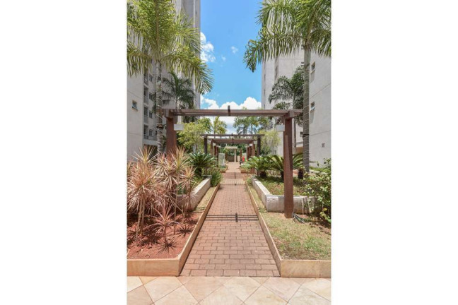 Imagem Apartamento com 2 Quartos à Venda, 82 m² em Jardim Das Vertentes - São Paulo