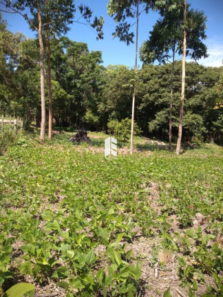 Imagem Imóvel à Venda, 100.000.000 m² em Etelvina - Itaara