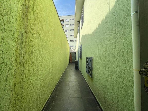 Imagem Casa com 3 Quartos à Venda, 180 m² em Vila Moinho Velho - São Paulo