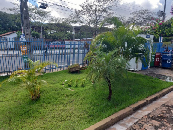 Imagem Apartamento com 3 Quartos à Venda, 65 m² em Piçarra - Teresina