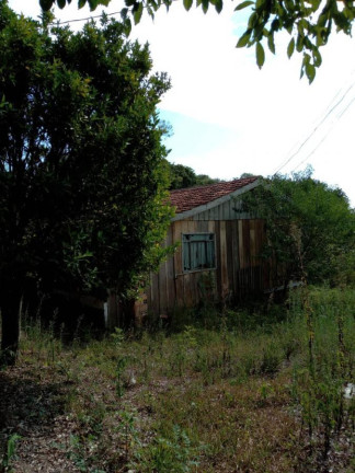 Imagem Chácara com 3 Quartos à Venda, 130.000 m² em Cantagalo - Antônio Olinto