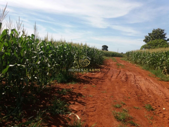 Imagem Imóvel com 3 Quartos à Venda, 57.000 m² em Zona Rural - Santana Do Araguaia Imagem Imóvel com 3 Quartos à Venda, 57.000 m² em Zona Rural - Santana Do Araguaia