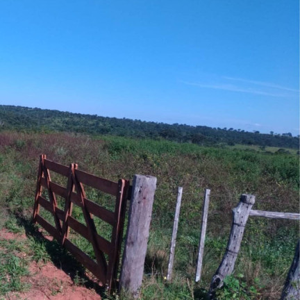 Imagem Fazenda à Venda, 581 m² em Getulio Vargas - Guiratinga Imagem Fazenda à Venda, 581 m² em Getulio Vargas - Guiratinga