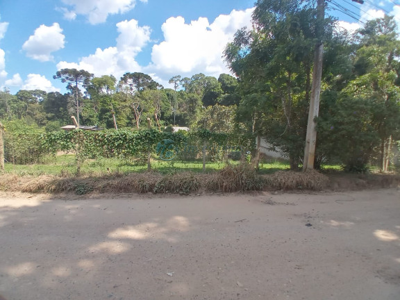 Terreno à Venda, 2.250 m² em Nações - Fazenda Rio Grande