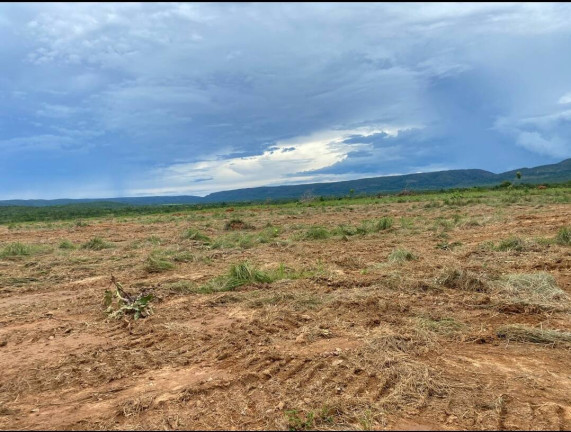 Imagem Fazenda à Venda, 1.135 m² em Cuiabá Imagem Fazenda à Venda, 1.135 m² em Cuiabá
