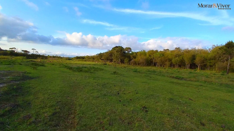 Imagem Imóvel à Venda, 32.800 m² em Ambrósio - Tijucas Do Sul