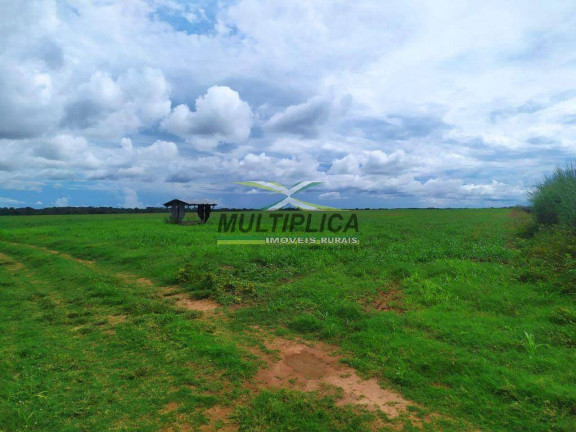 Imagem Fazenda à Venda, 740 m² em Talismã