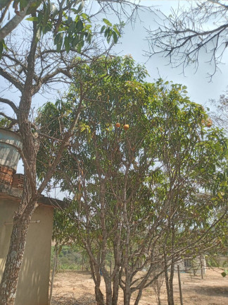 Imagem Chácara à Venda, 1.999 m² em Condomínio Tiradentes - Brumadinho Imagem Chácara à Venda, 1.999 m² em Condomínio Tiradentes - Brumadinho